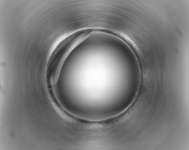 X0000091331085200708101421