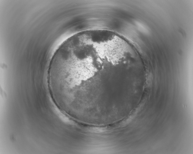 X0000091331086200708101421
