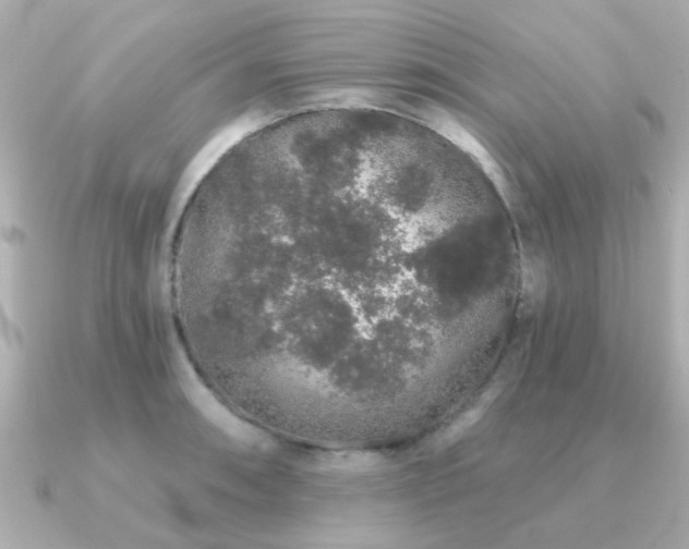 X0000091331090200708101421