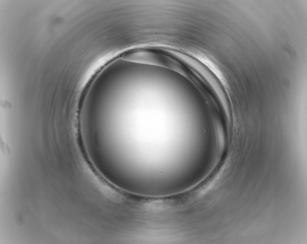X0000091331093200708101421