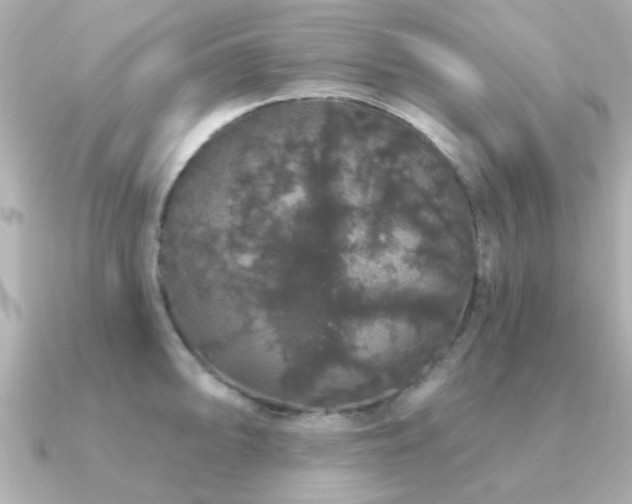 X0000091331094200708101421