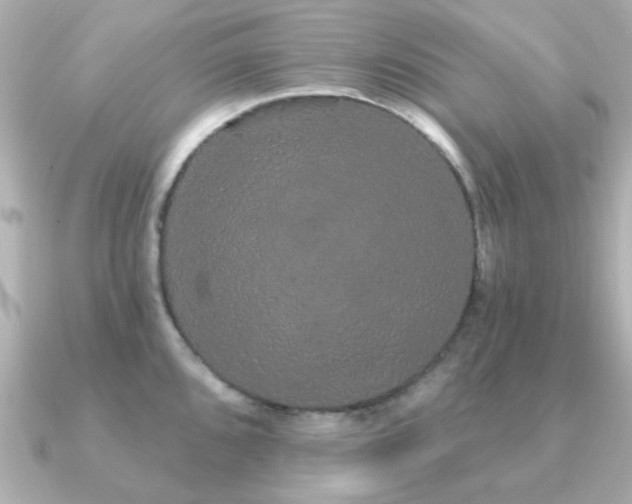 X0000091331096200708101421