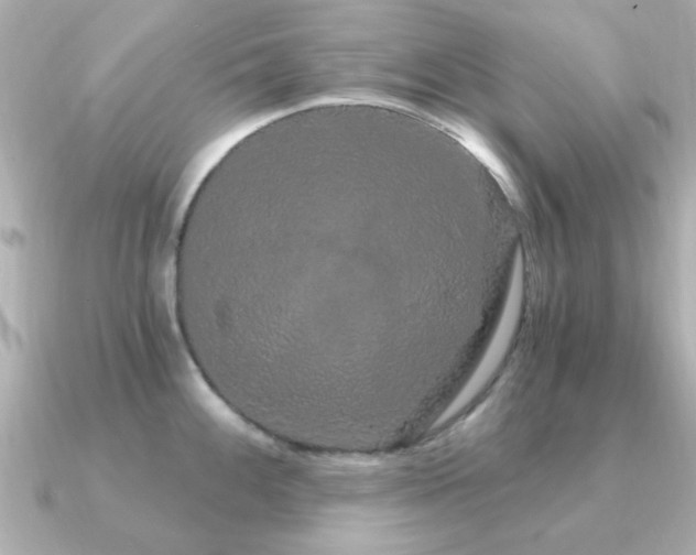 X0000091331100200708101421