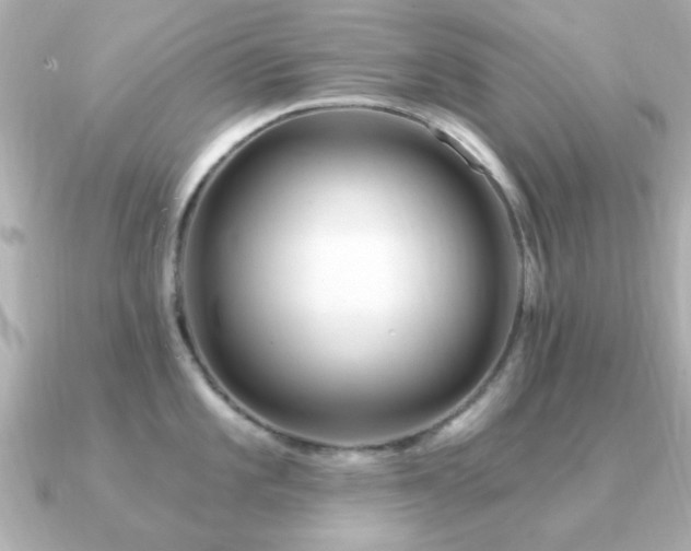 X0000091331101200708101421