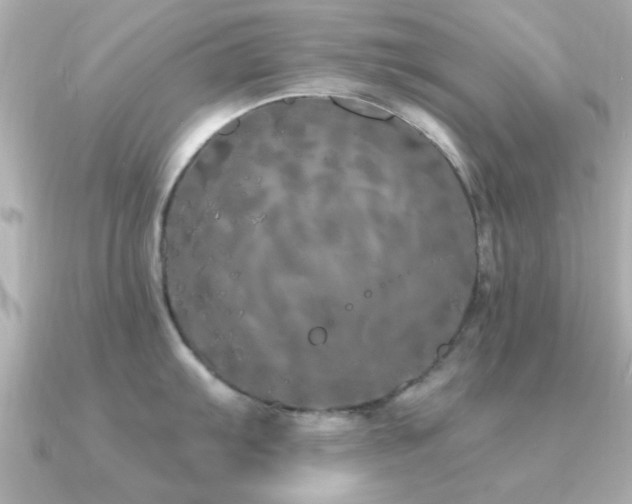 X0000091331103200708101421