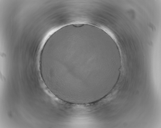 X0000091331104200708101421
