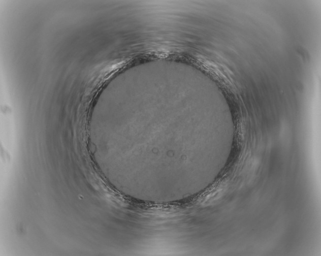 X0000091331105200708101421
