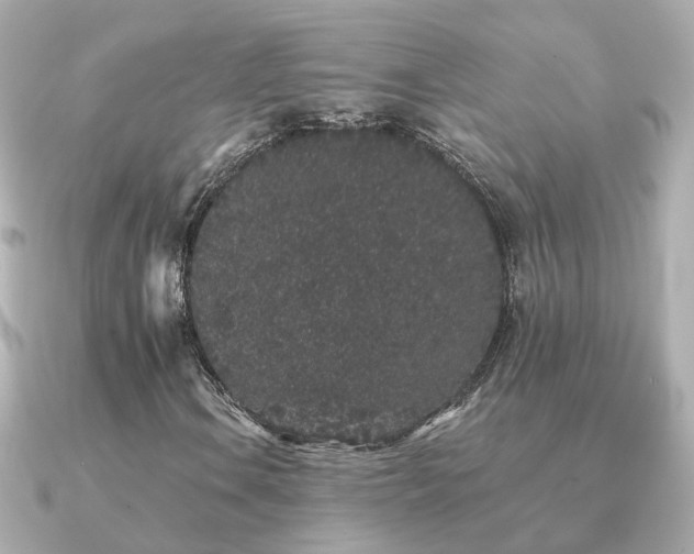 X0000091331106200708101421