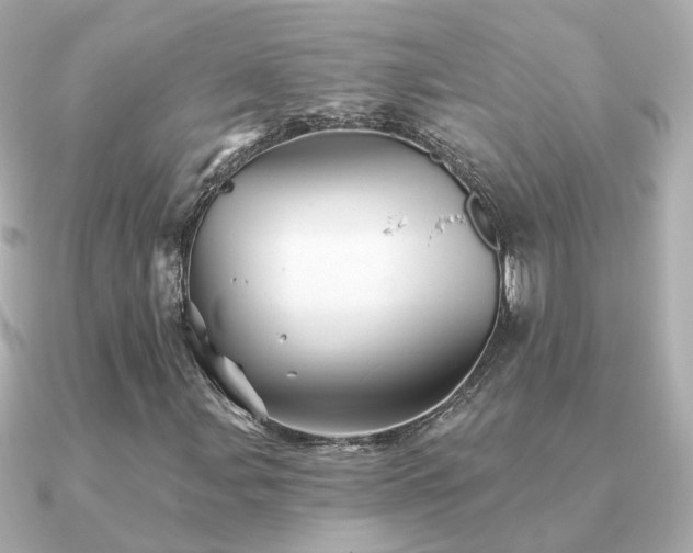X0000091331107200708101421