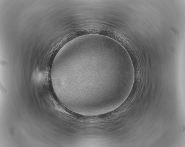 X0000091331108200708101421