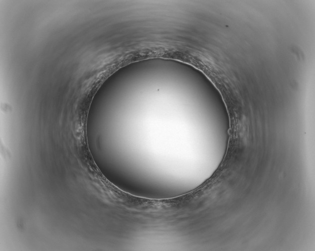 X0000091331109200708101421