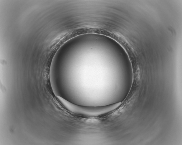 X0000091331110200708101421