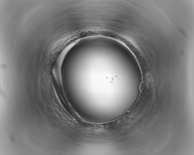 X0000091331111200708101421