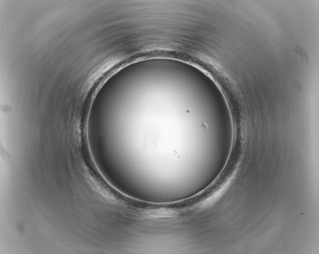 X0000091331113200708101421