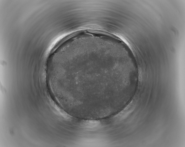 X0000091331115200708101421