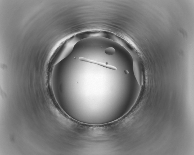 X0000091331116200708101421