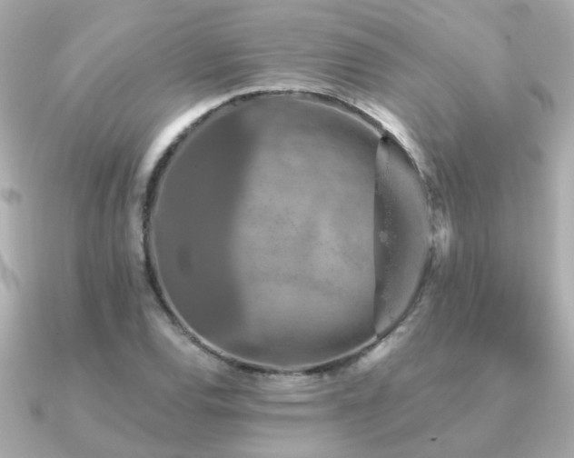 X0000091331120200708101421