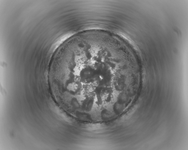 X0000091331121200708101421