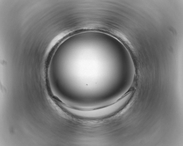 X0000091331122200708101421