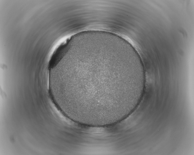X0000091331123200708101421