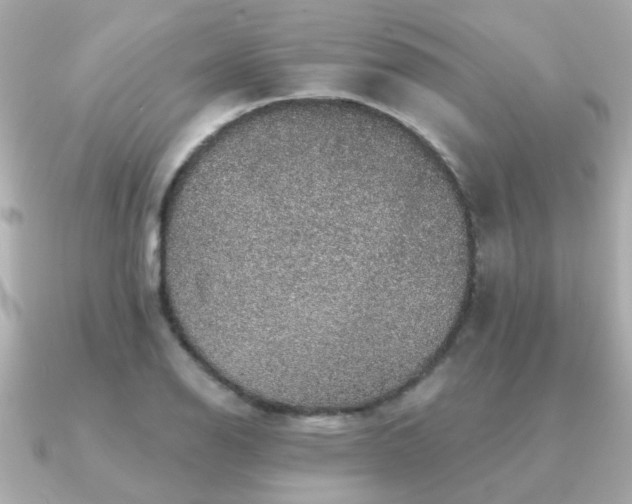 X0000091331126200708101421