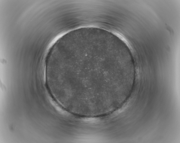 X0000091331127200708101421