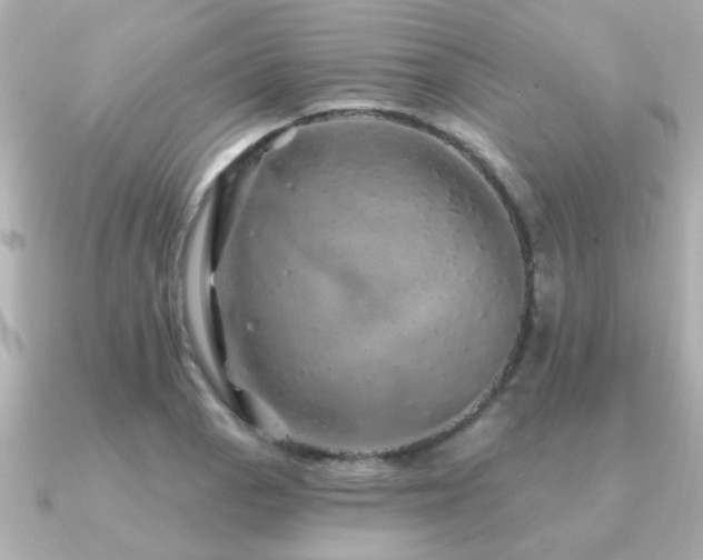 X0000091331129200708101421