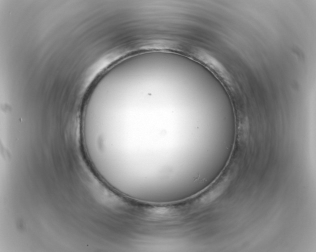 X0000091331130200708101421