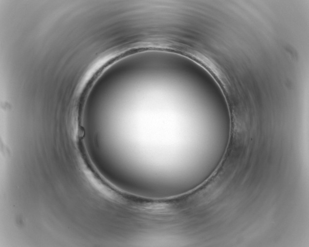 X0000091331131200708101421