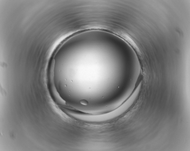 X0000091331132200708101421