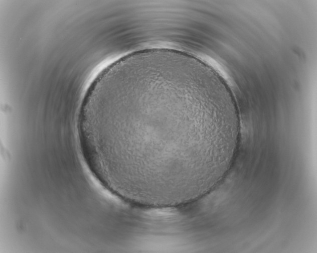 X0000091331133200708101421