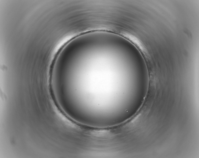 X0000091331135200708101421
