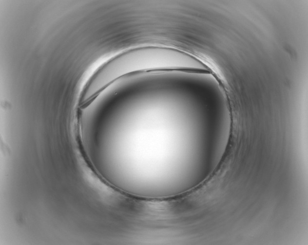 X0000091331136200708101421