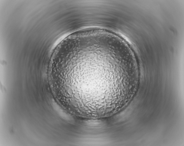 X0000091331137200708101421
