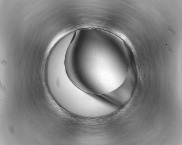 X0000091331138200708101421