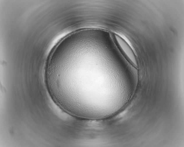 X0000091331139200708101421