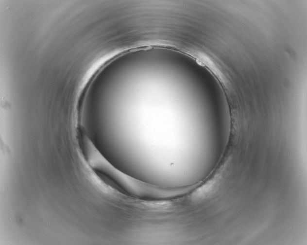 X0000091331140200708101421