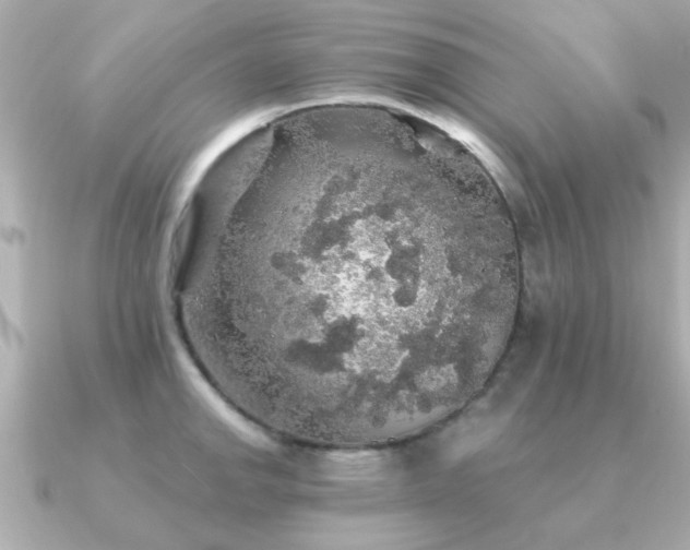 X0000091331142200708101421