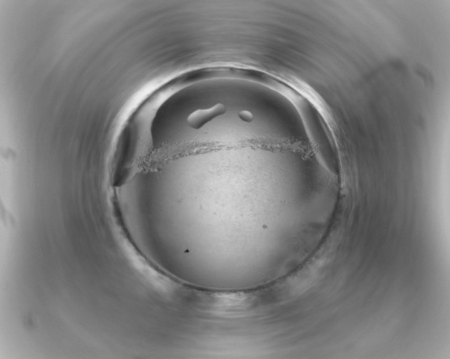 X0000091331144200708101421