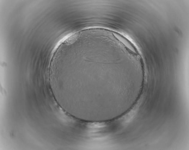 X0000091331145200708101421