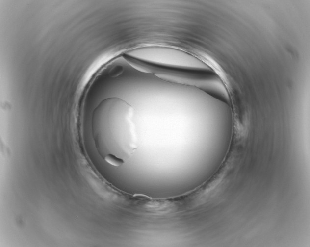X0000091331146200708101421