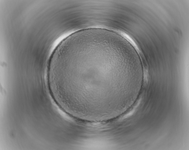 X0000091331149200708101421