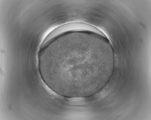 X0000091331151200708101421