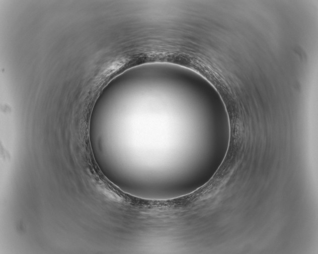 X0000091331153200708101421