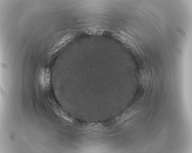 X0000091331154200708101421