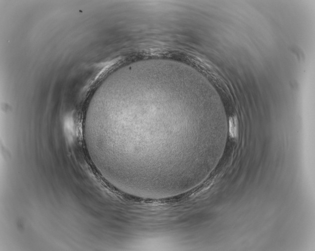 X0000091331155200708101421