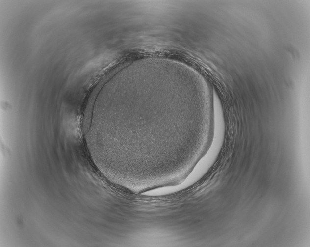 X0000091331156200708101421