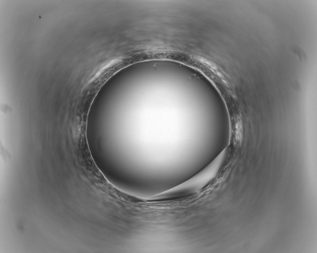 X0000091331157200708101421