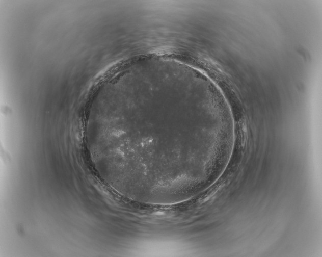 X0000091331158200708101421