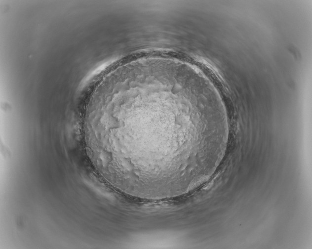 X0000091331159200708101421